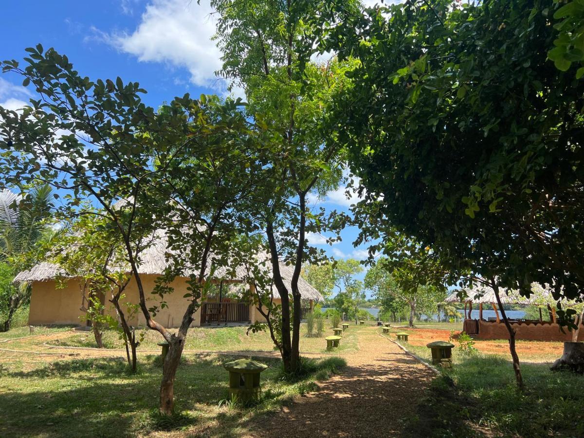 Saffron Lake Yala Tissamaharama Exterior photo