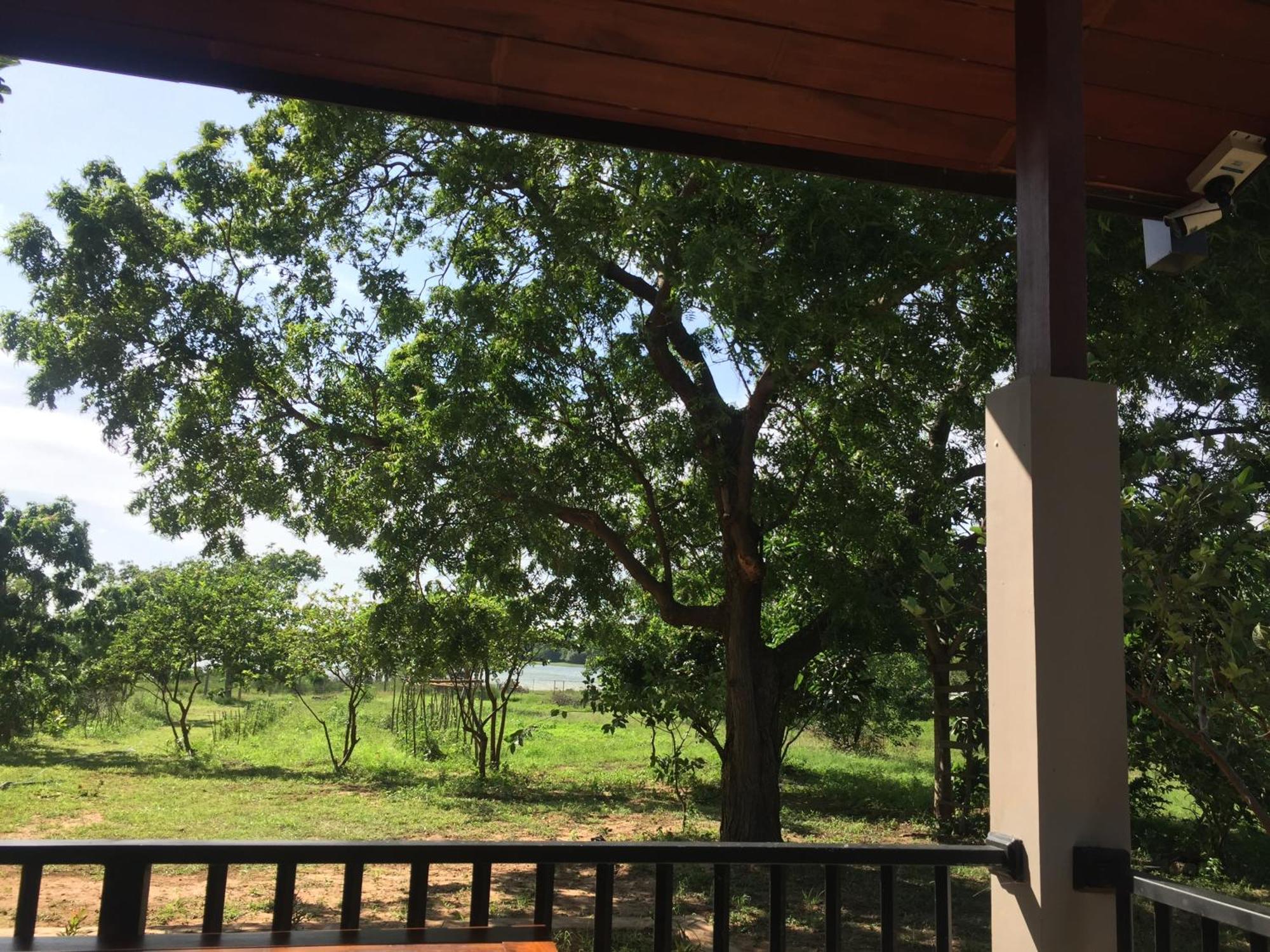 Saffron Lake Yala Tissamaharama Exterior photo